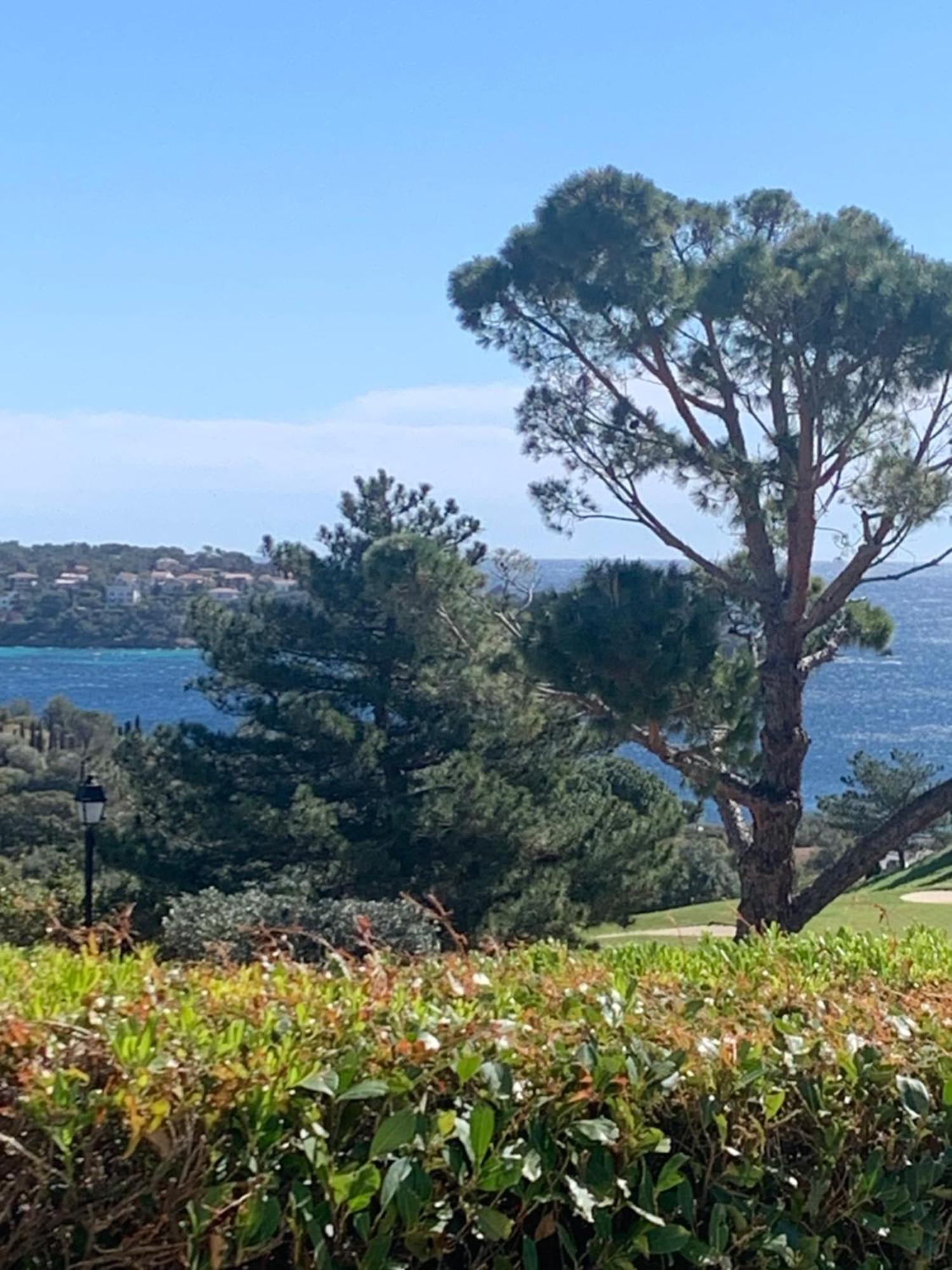 T2 En Rez De Jardin Privatif Cloture , Cap Esterel Pierre Et Vacances ,Piscine Chauffee Des Le 05 Avril Au 02 Novembre Saint-Raphaël 外观 照片