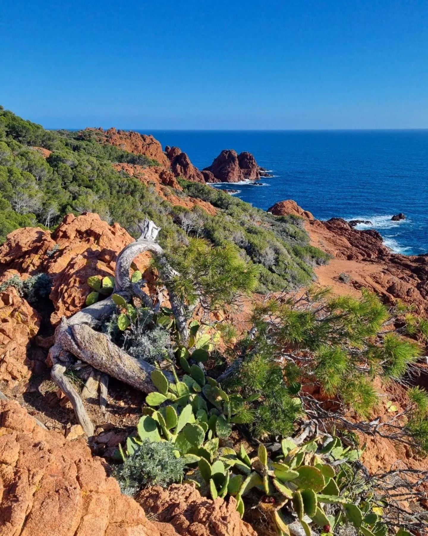 T2 En Rez De Jardin Privatif Cloture , Cap Esterel Pierre Et Vacances ,Piscine Chauffee Des Le 05 Avril Au 02 Novembre Saint-Raphaël 外观 照片