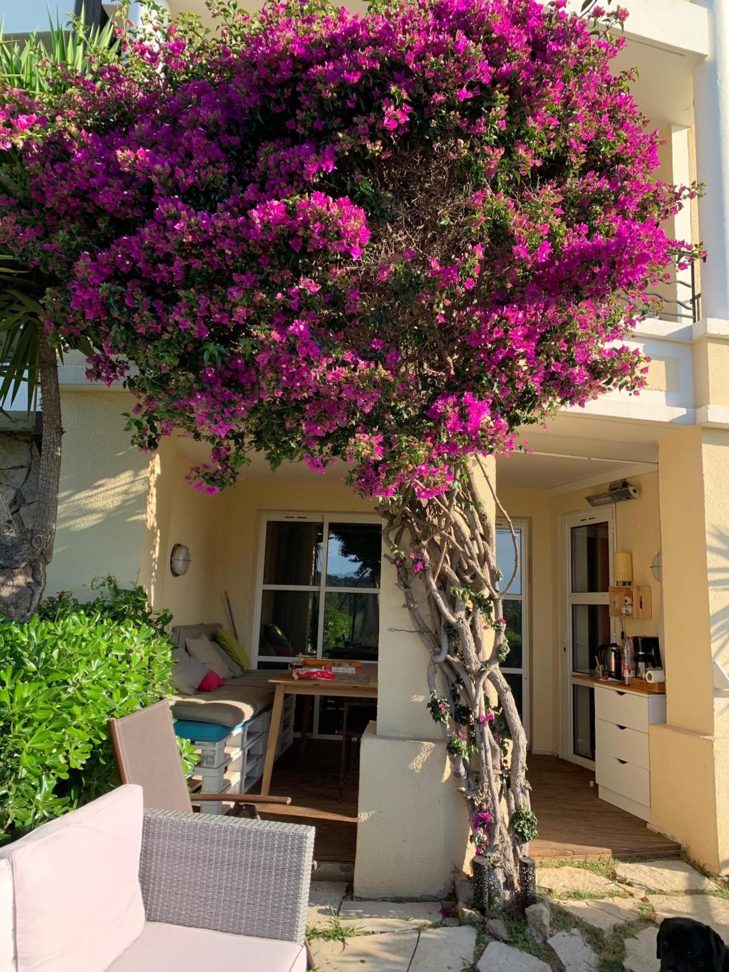 T2 En Rez De Jardin Privatif Cloture , Cap Esterel Pierre Et Vacances ,Piscine Chauffee Des Le 05 Avril Au 02 Novembre Saint-Raphaël 外观 照片