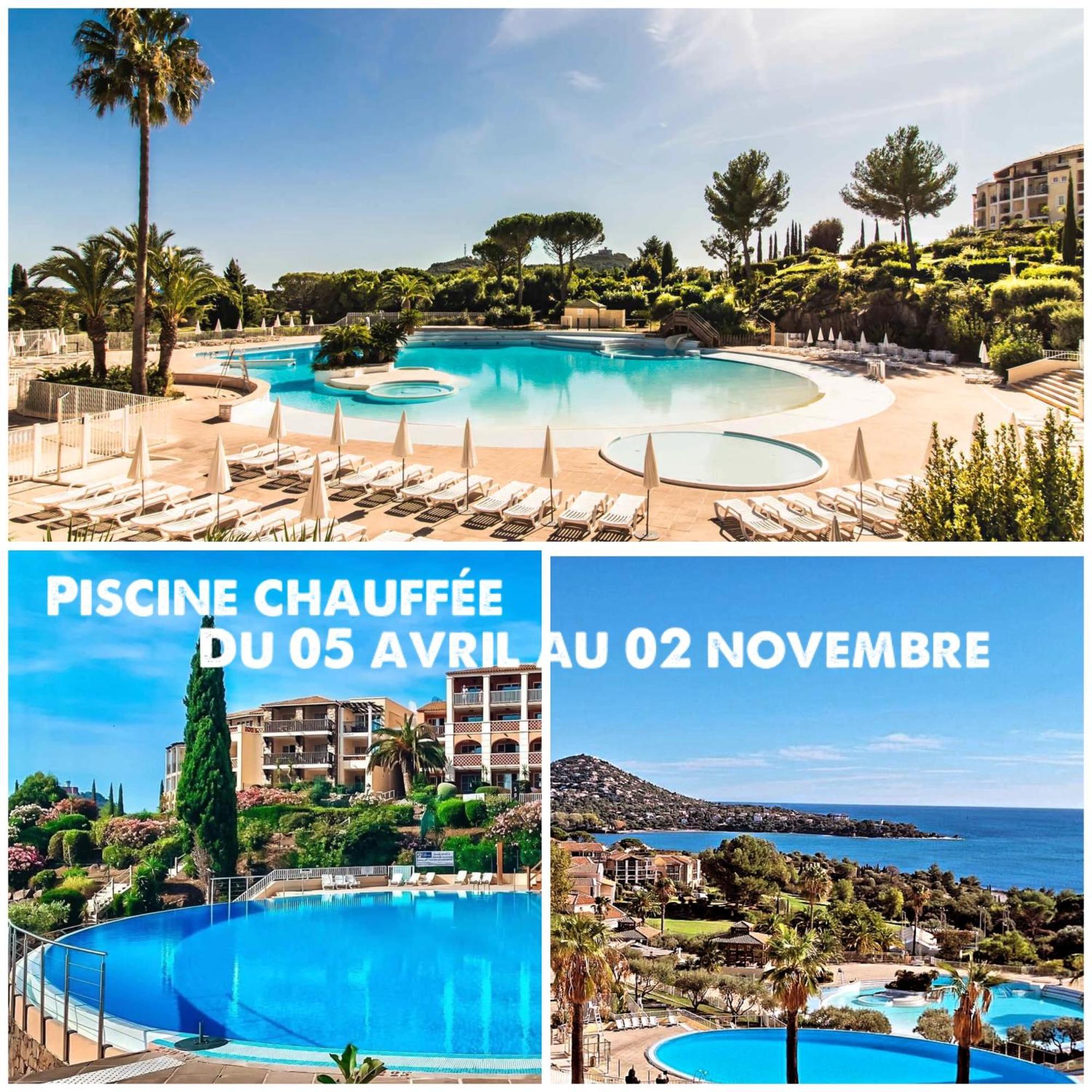 T2 En Rez De Jardin Privatif Cloture , Cap Esterel Pierre Et Vacances ,Piscine Chauffee Des Le 05 Avril Au 02 Novembre Saint-Raphaël 外观 照片